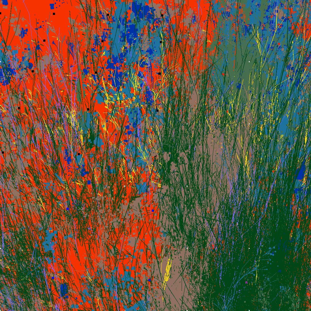 Infinite Garden: 56348 Flowers