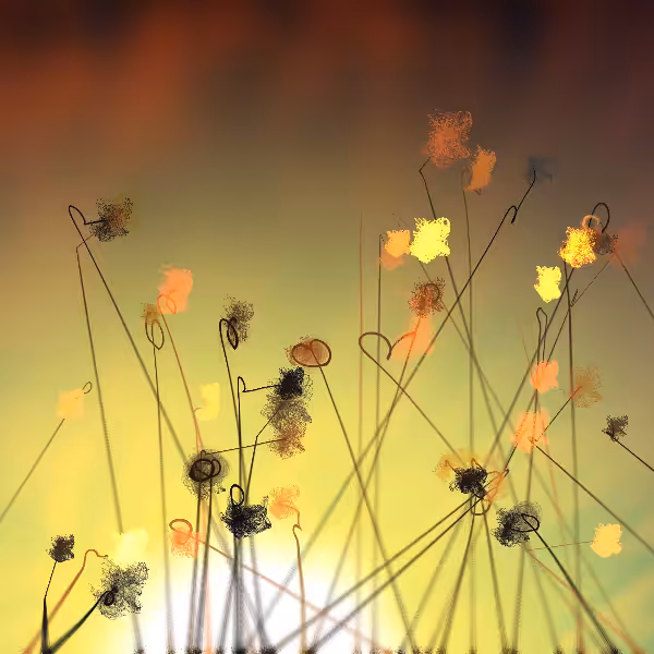 Cottongrass #45