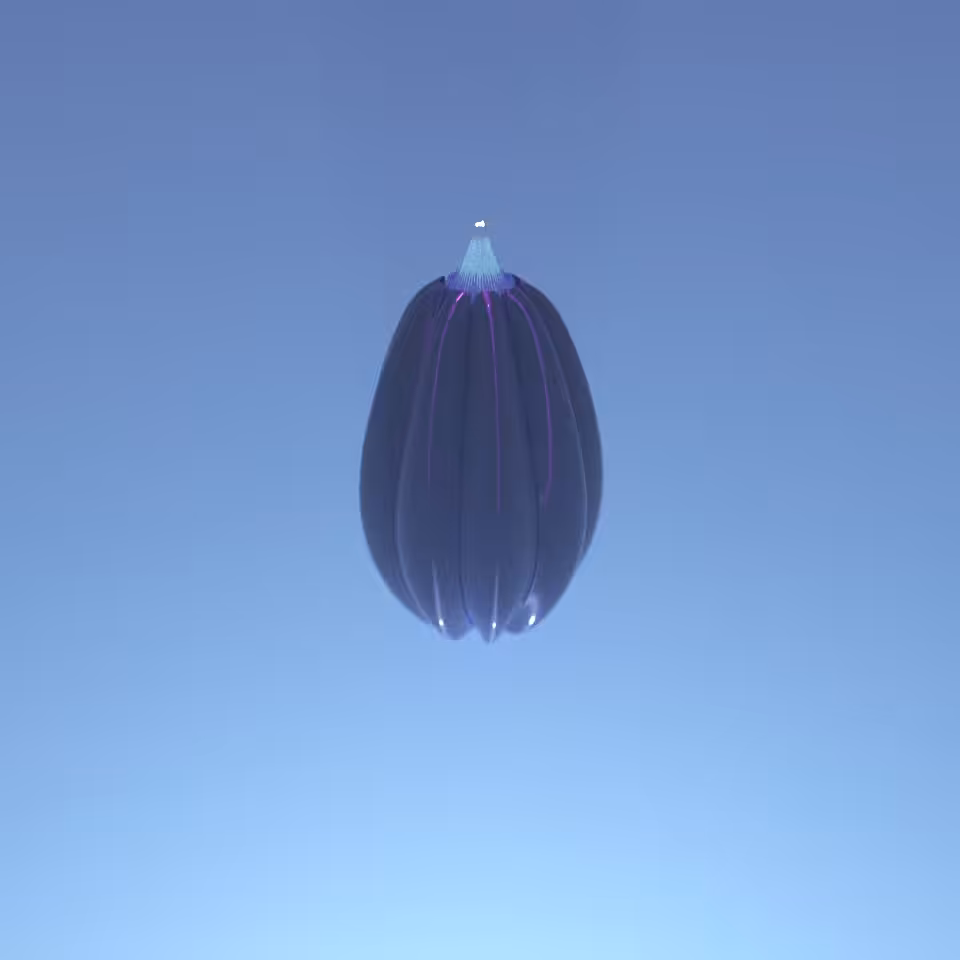 digiBlossom11