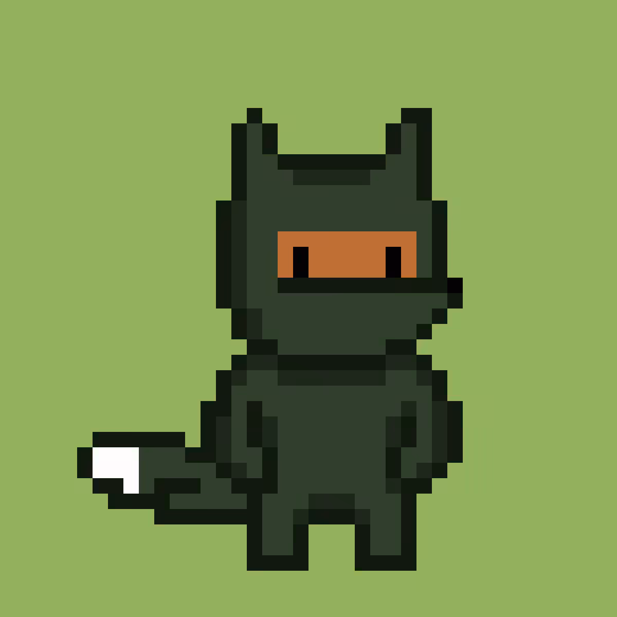 Ninja#2