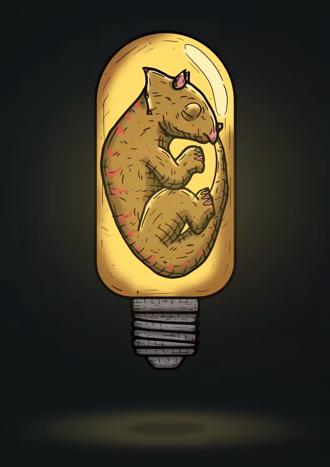 FOCUSSAUR #8