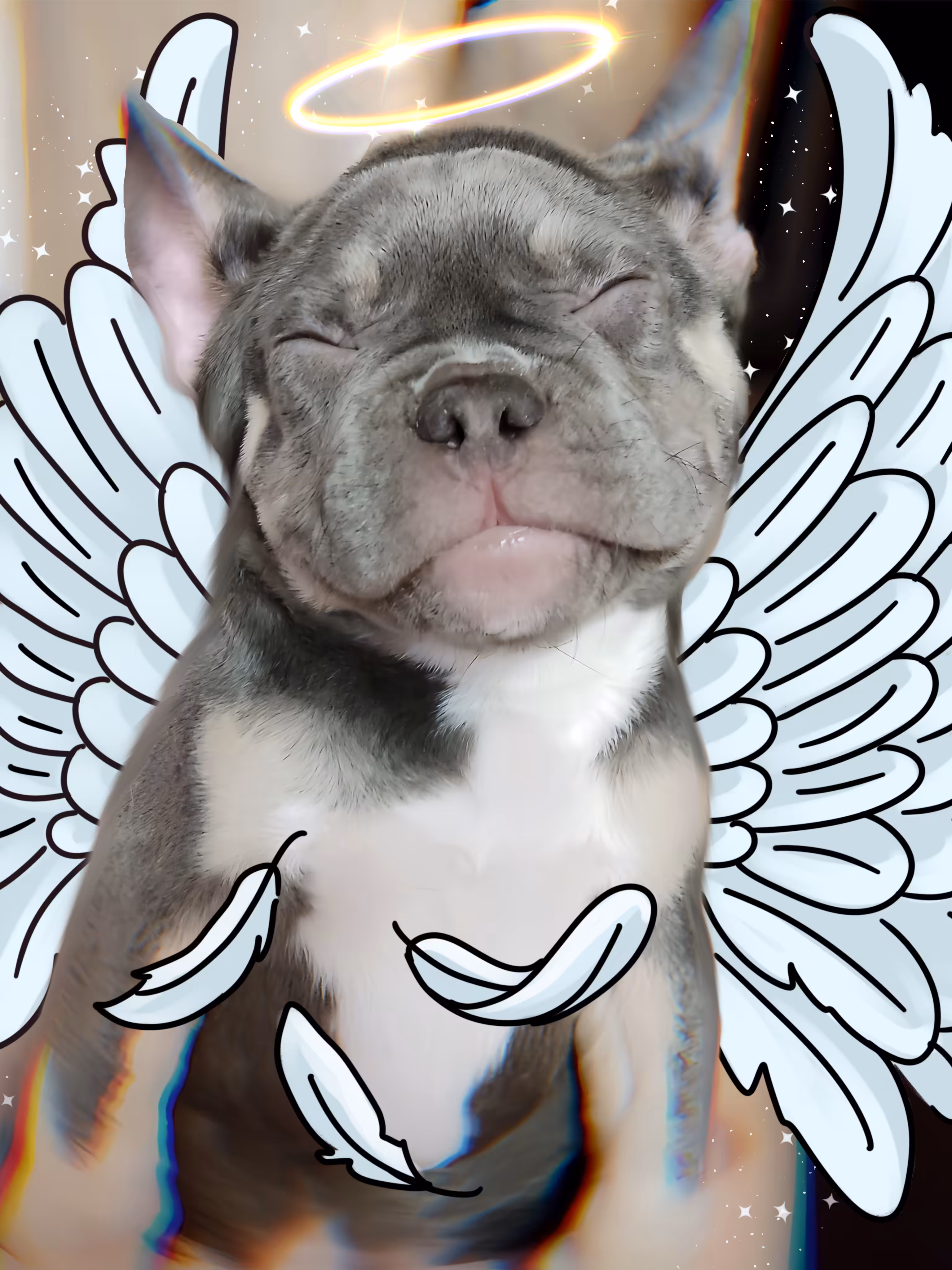 ANGEL BARNEY 