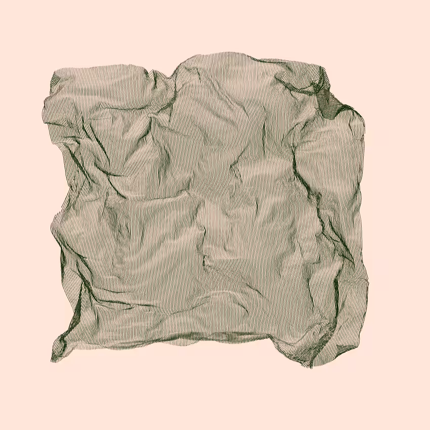 Fibril #251