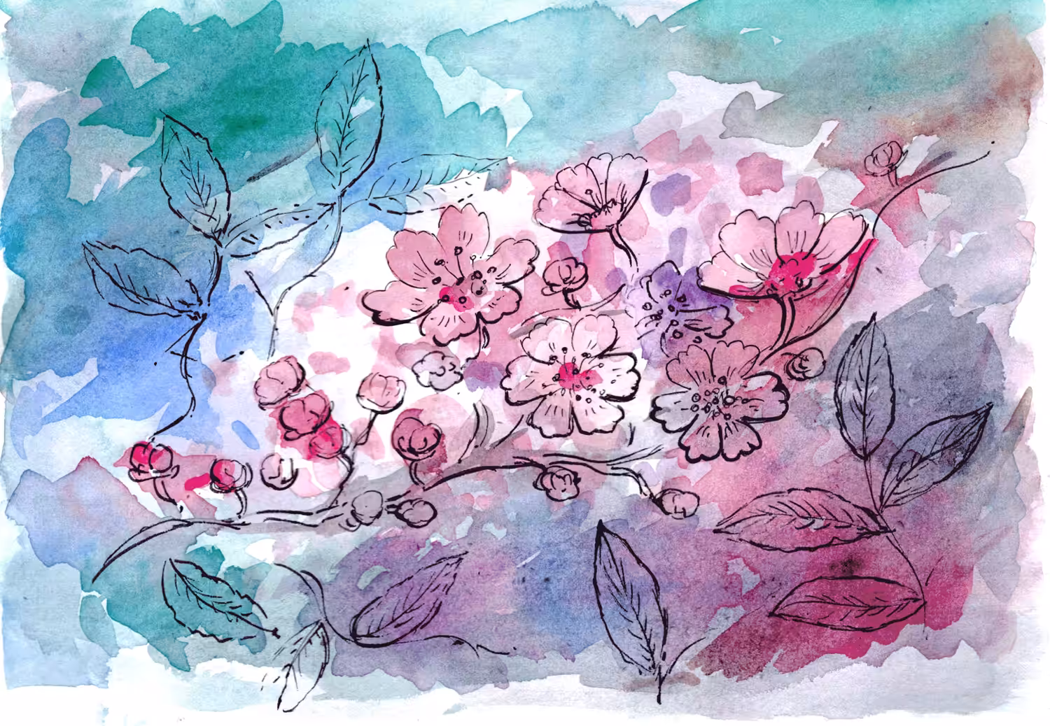 Cherry Blossoms
