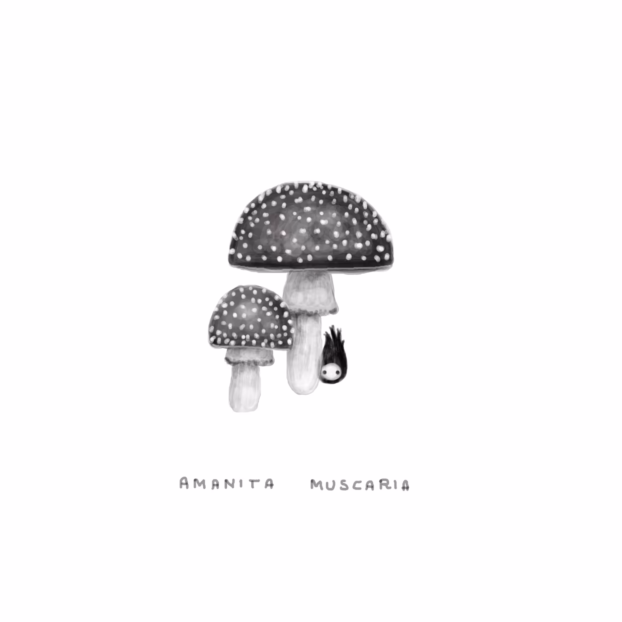 #2 WISP - Amanita Muscaria