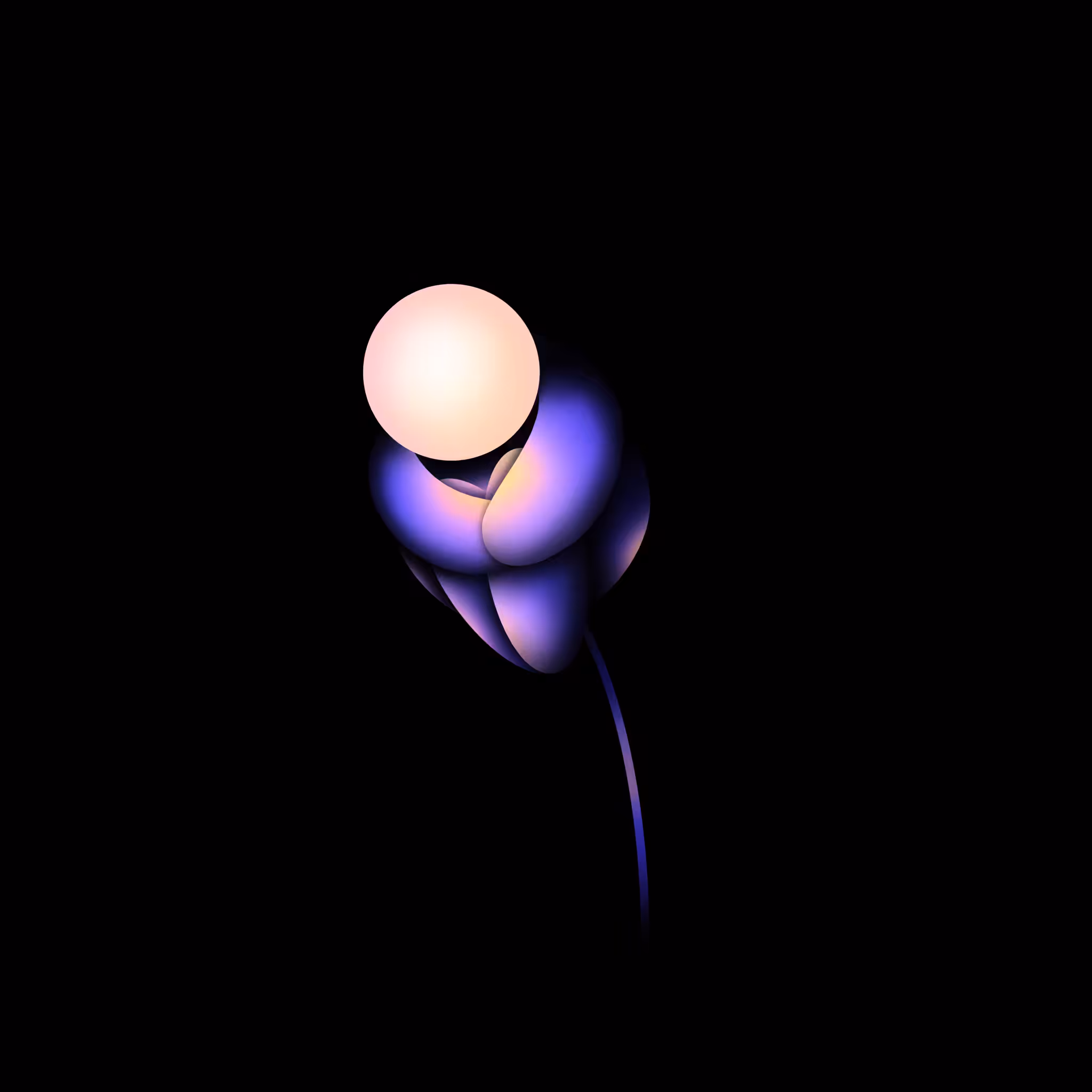the light