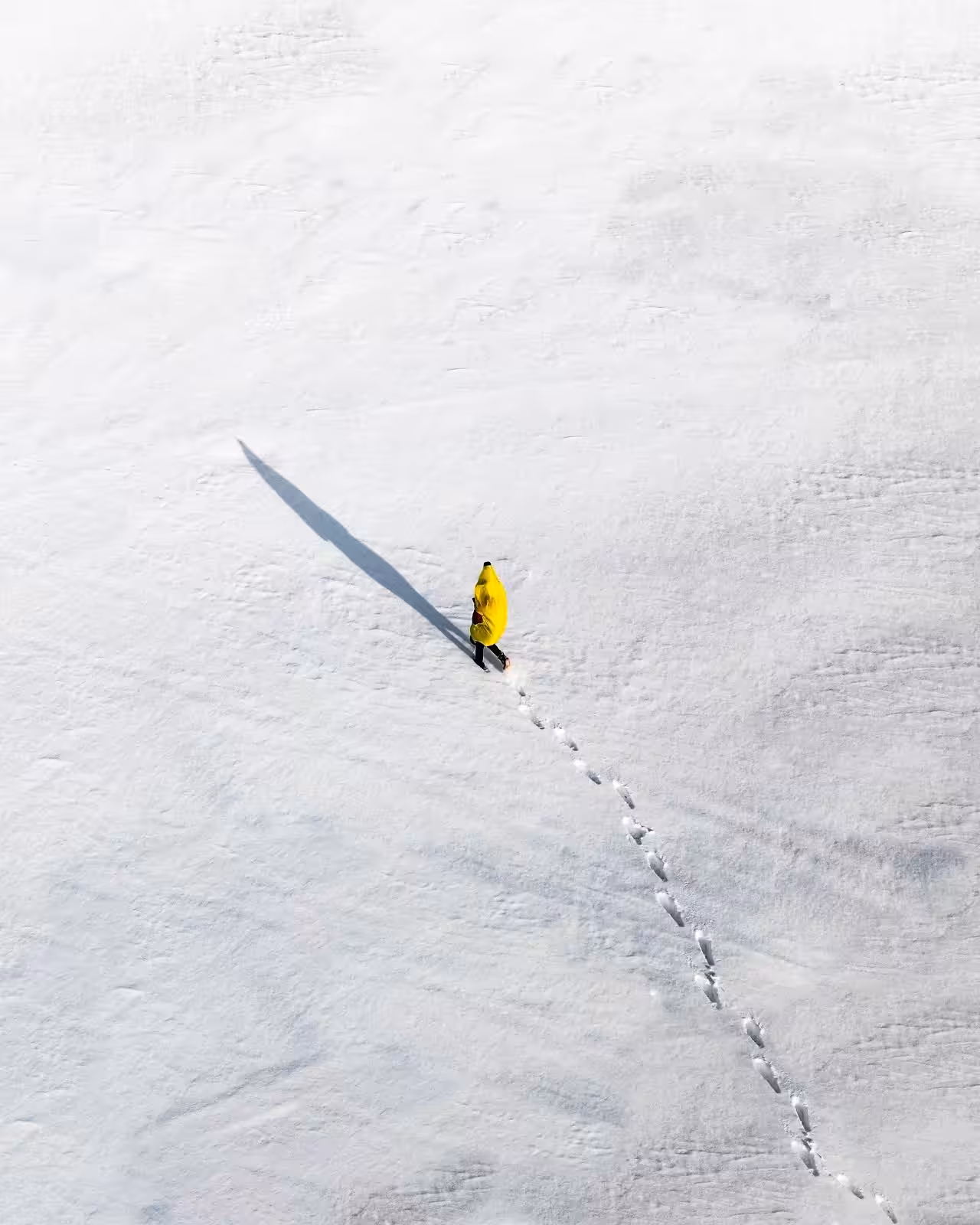 Frozen Dreams #9
