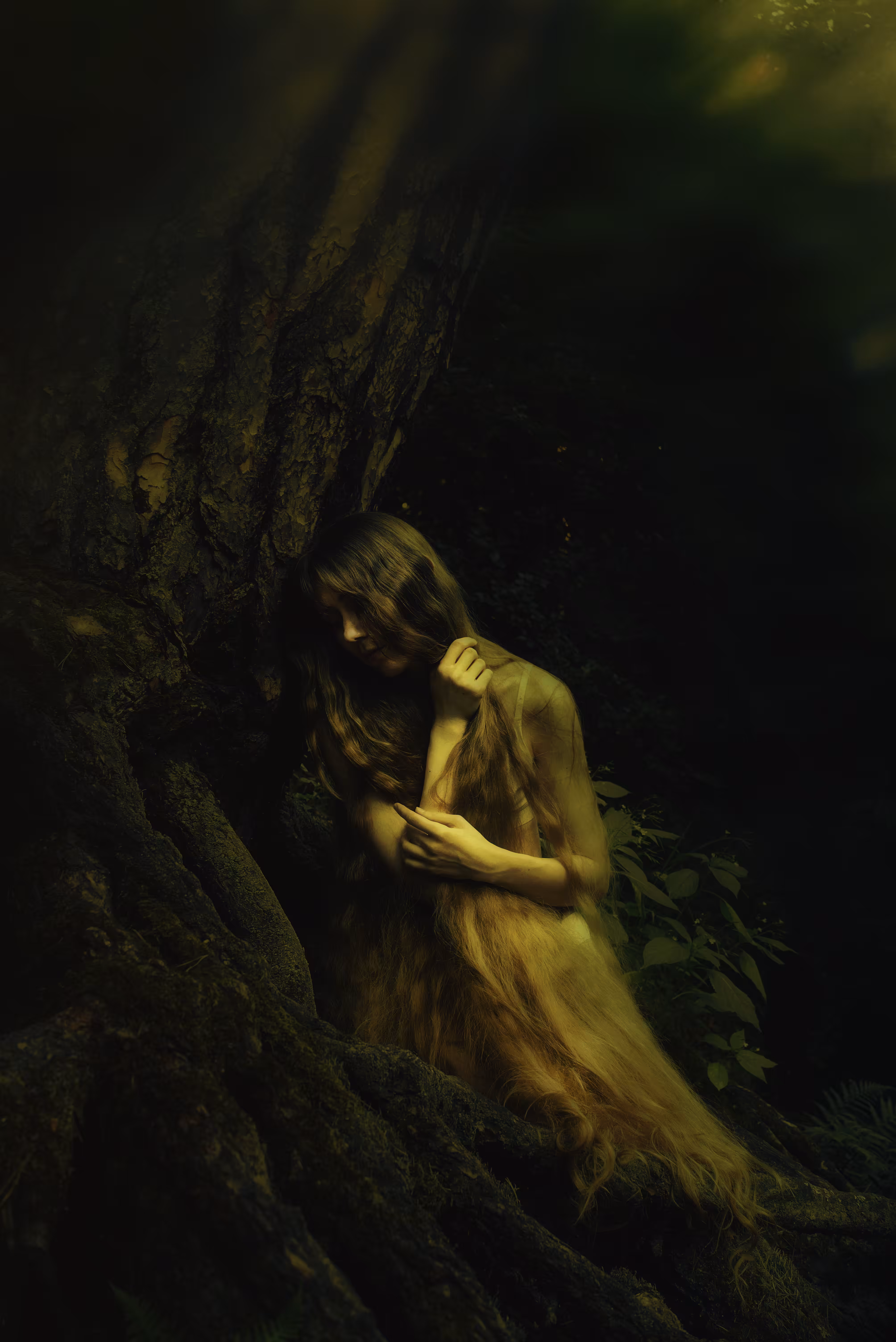 Dark forest