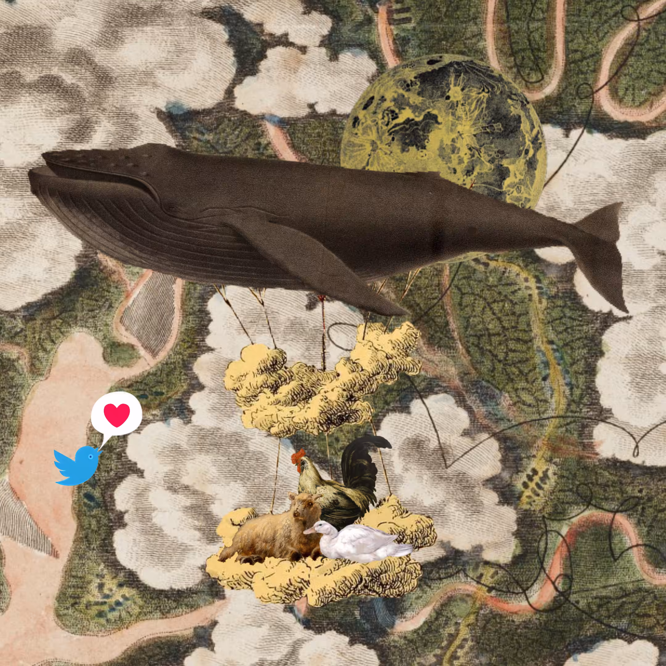 Airship #194