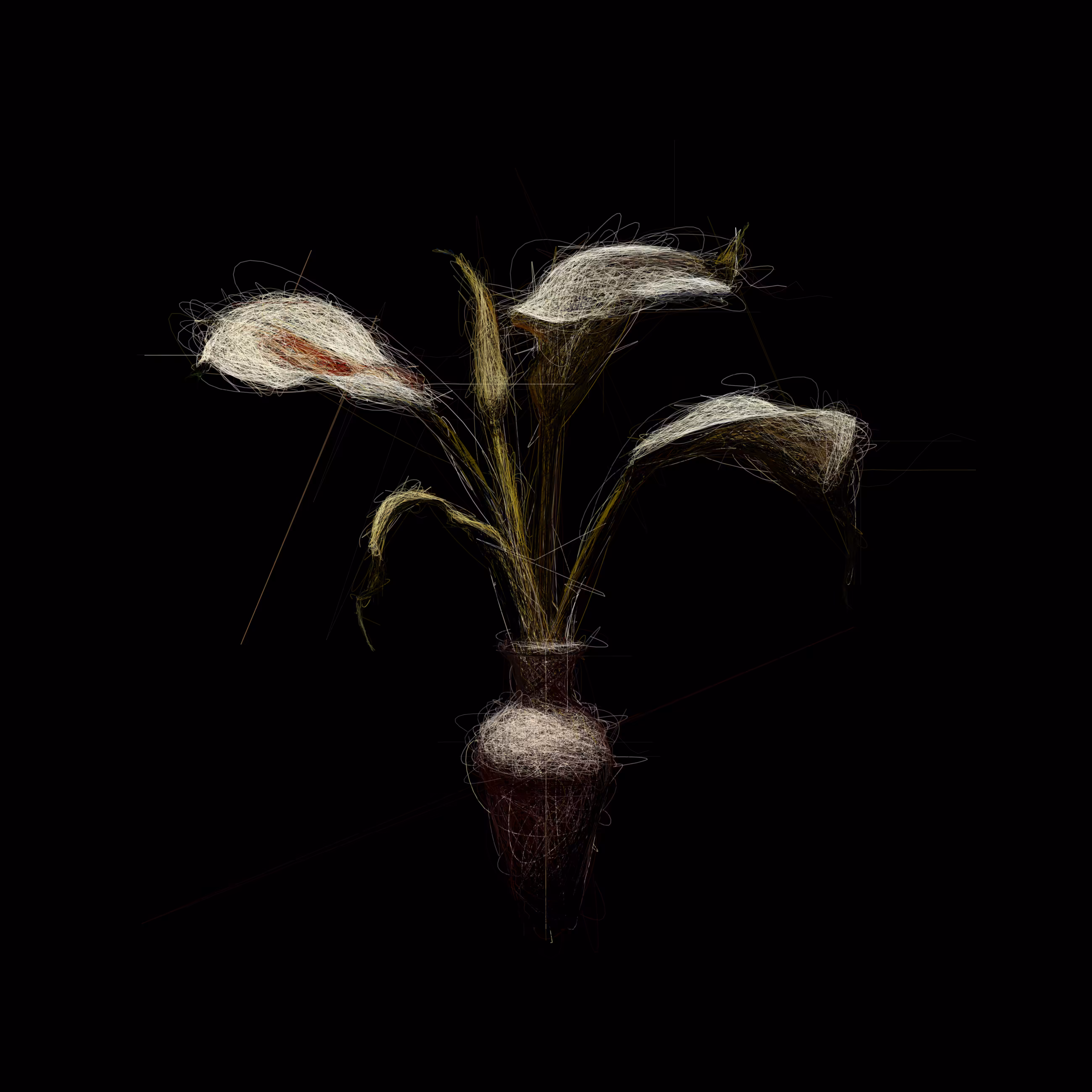 Calla Lilies I