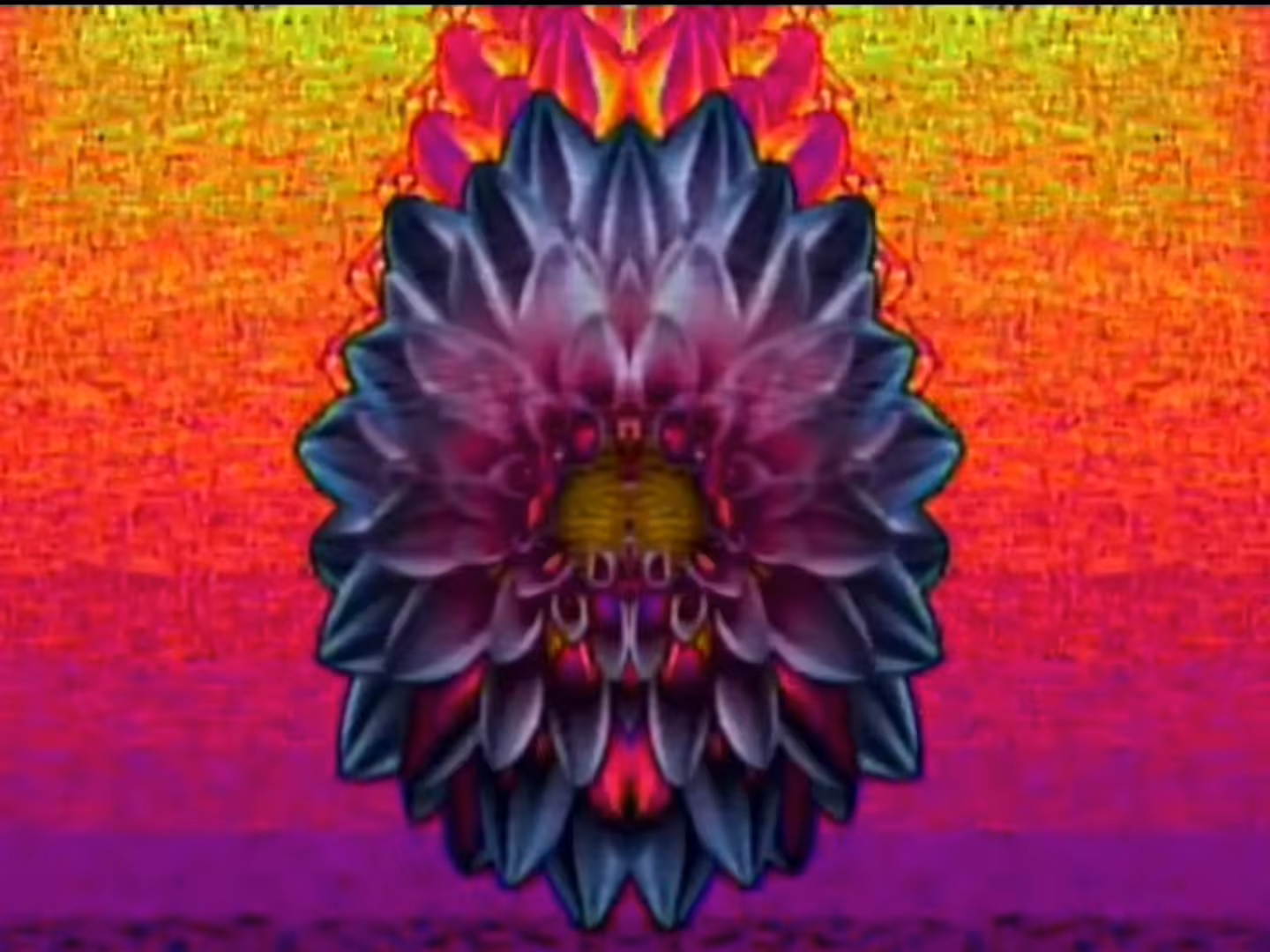 _FLORAPHAZE_I
