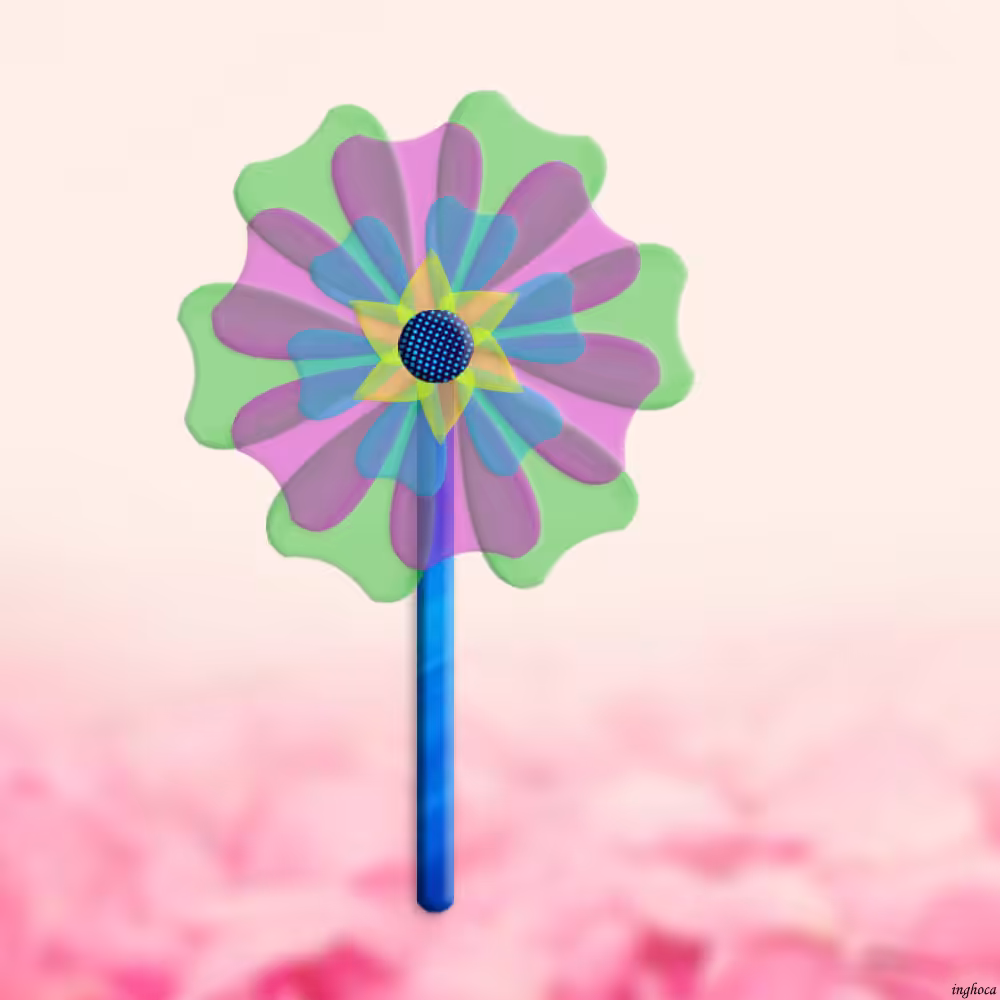 pinwheel 50