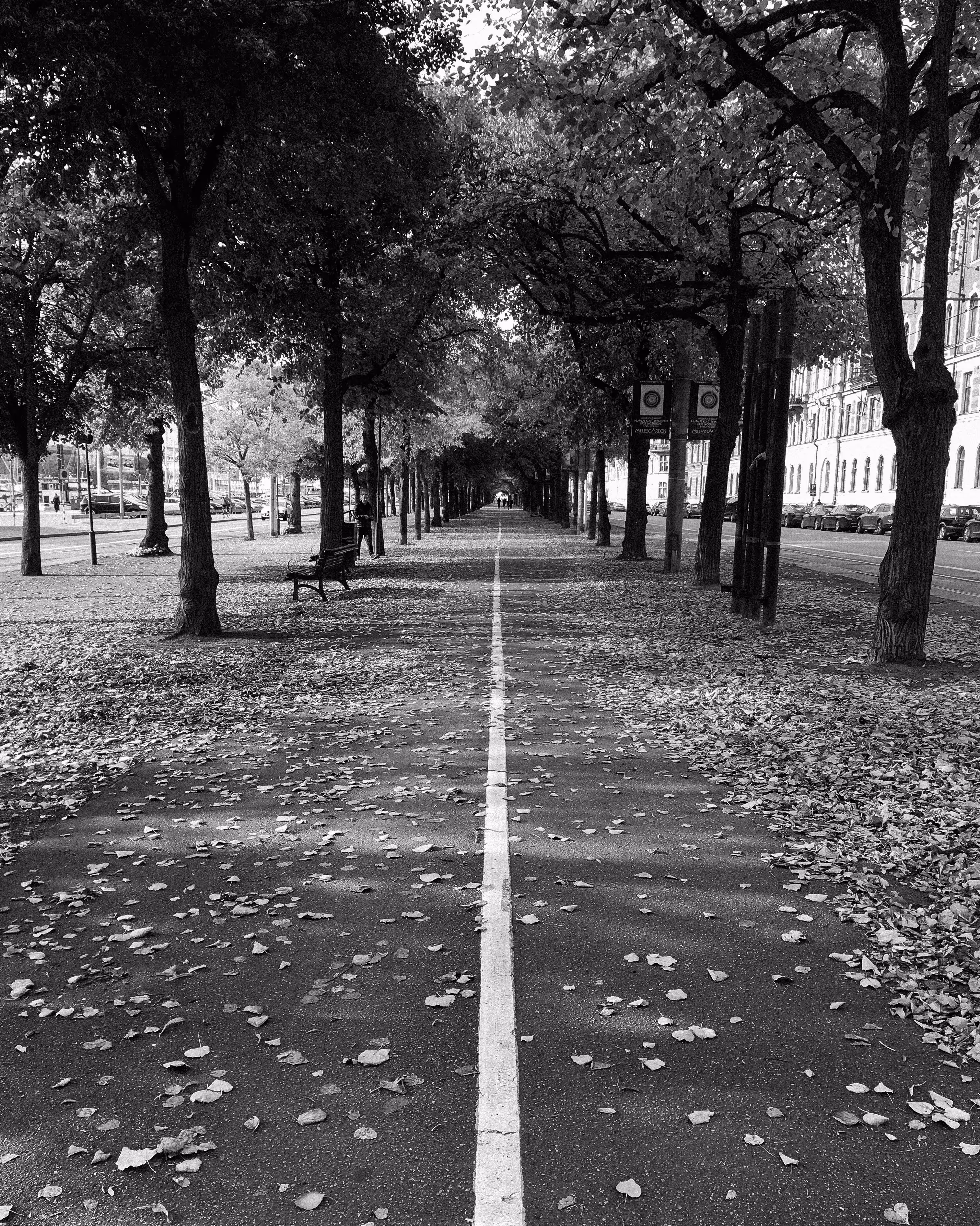 Symmetry #24