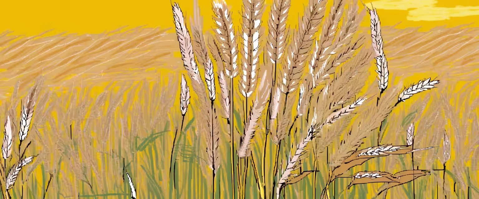 Joss Wheaton, farm-to-table slogan creator