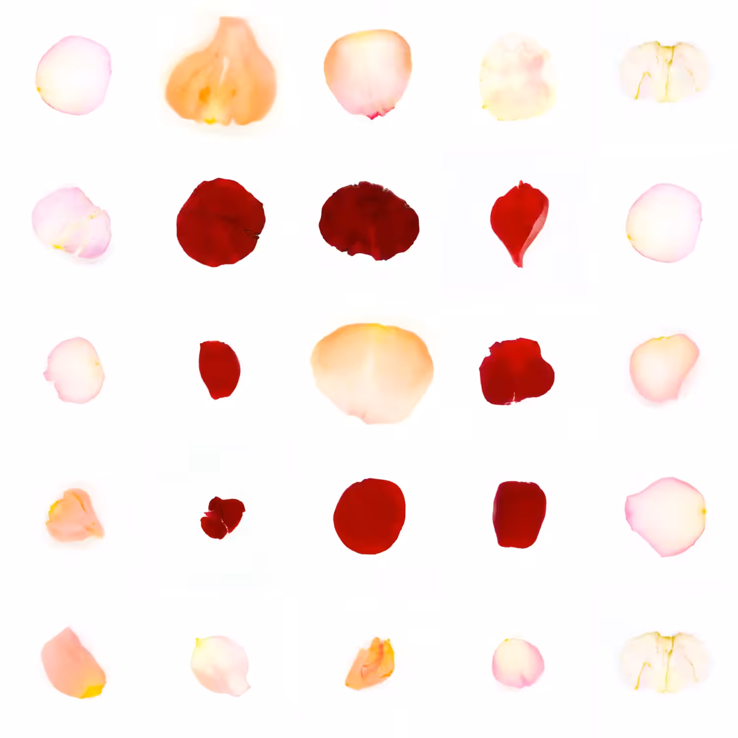 Infinite Petals 5x5#2898