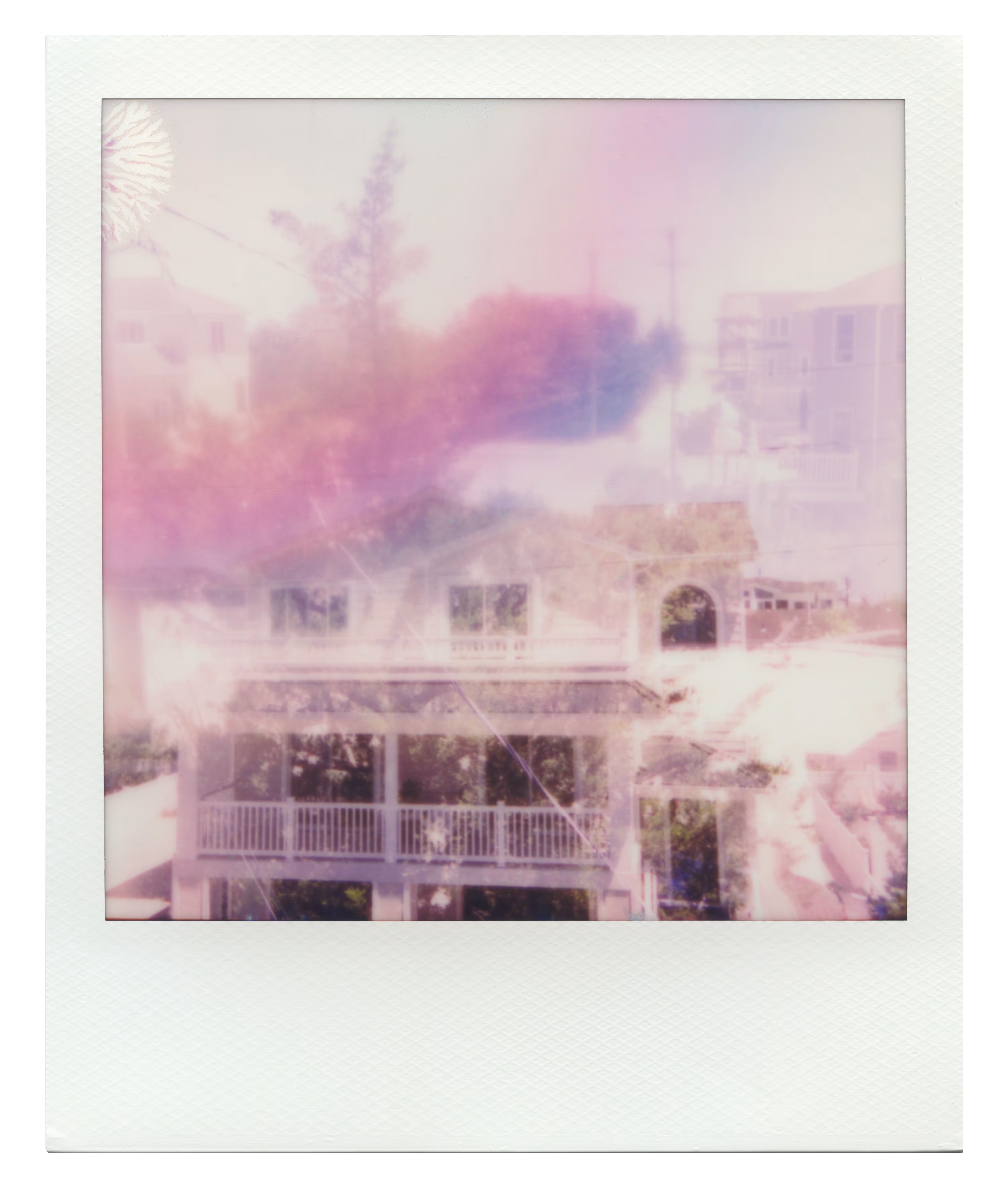 Endless Summer  |  20  | Manifestation