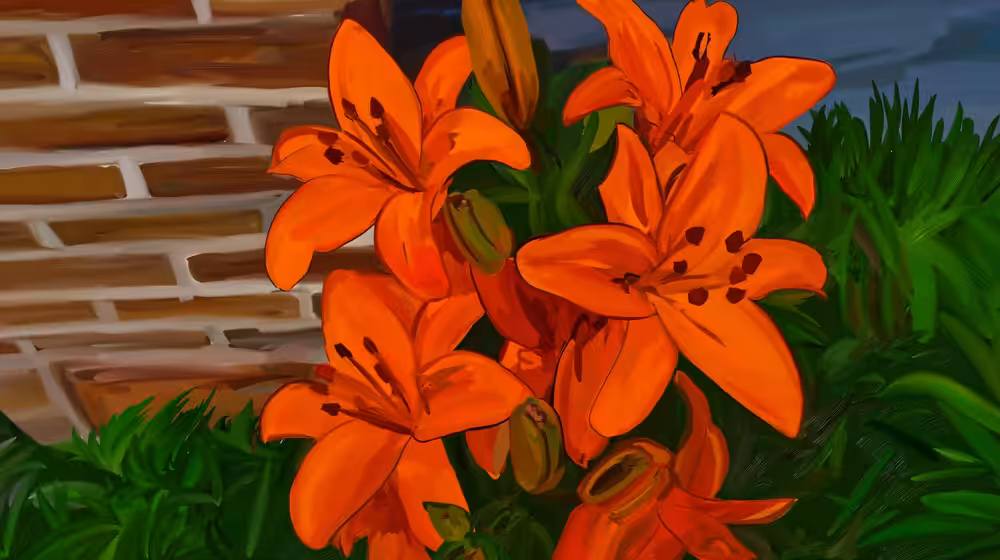 Summer Flowers