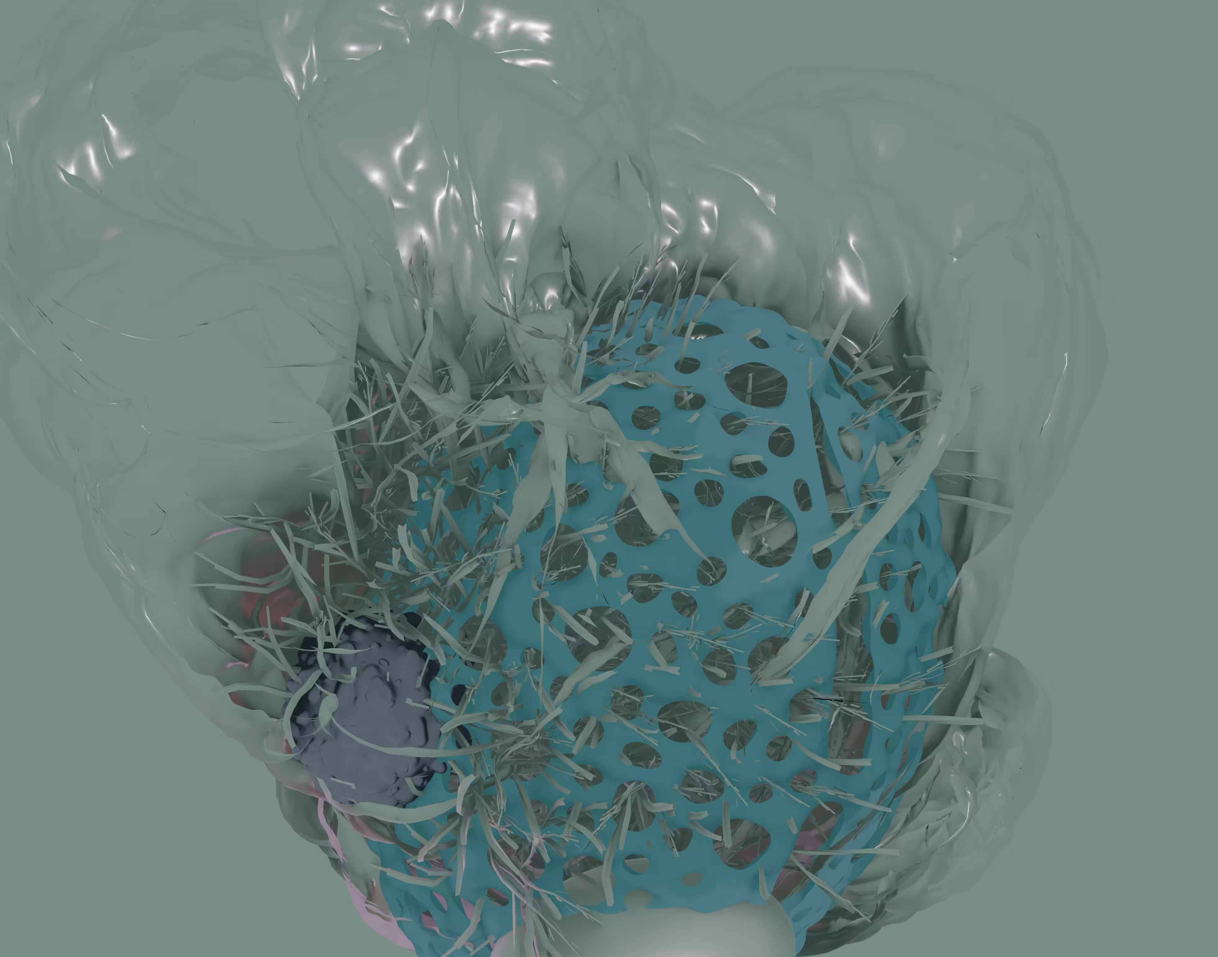 Entangled Variatons I