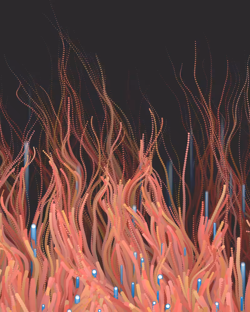 Waterweed #31
