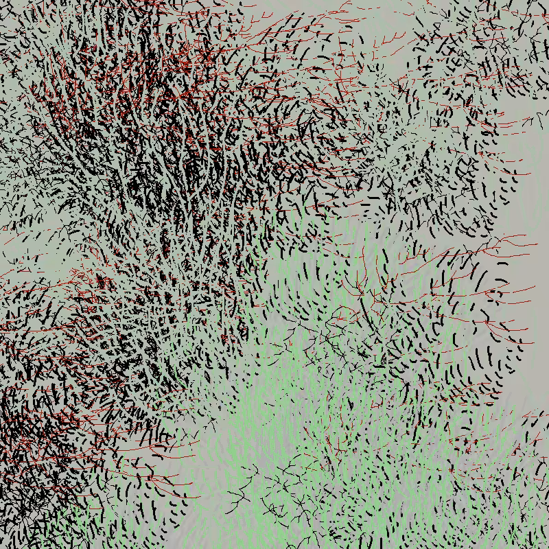 a bird worked on my painting #49