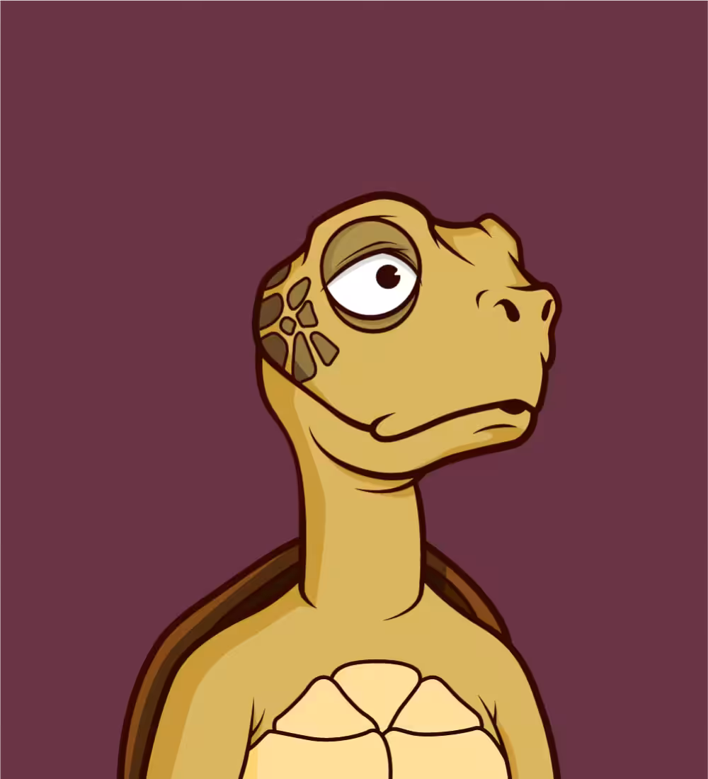 Tiny Turtle's: Tiny Turtle 90