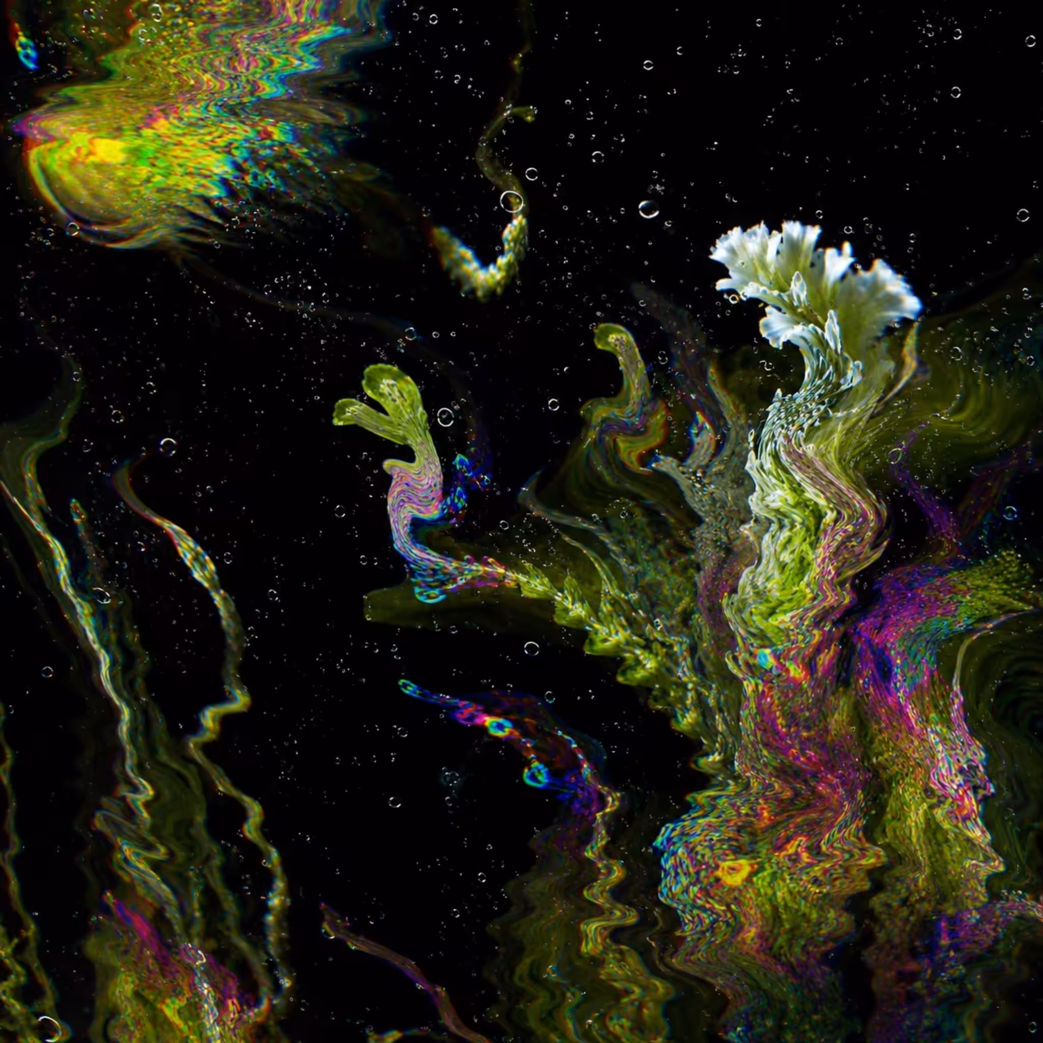 HYPER REEF