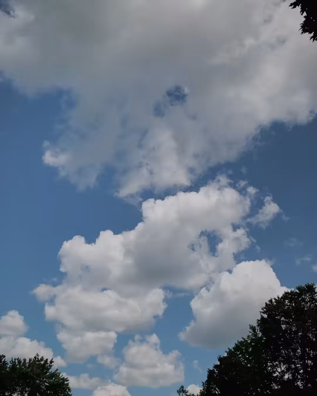 Sky Wheel
