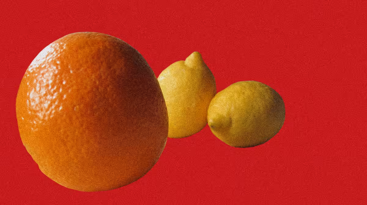 Still Life (Orange and Lemons)