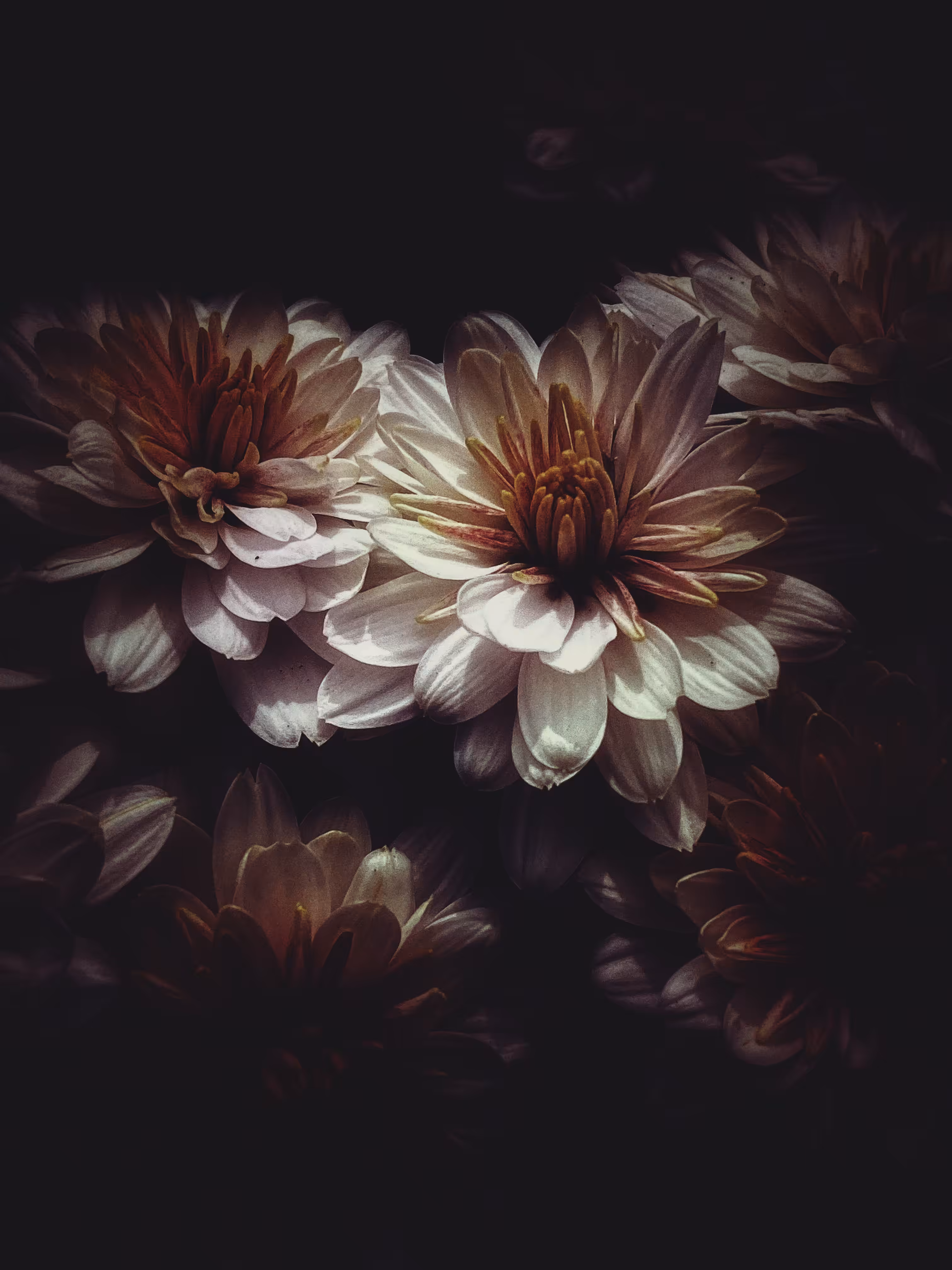 Dark Glow
