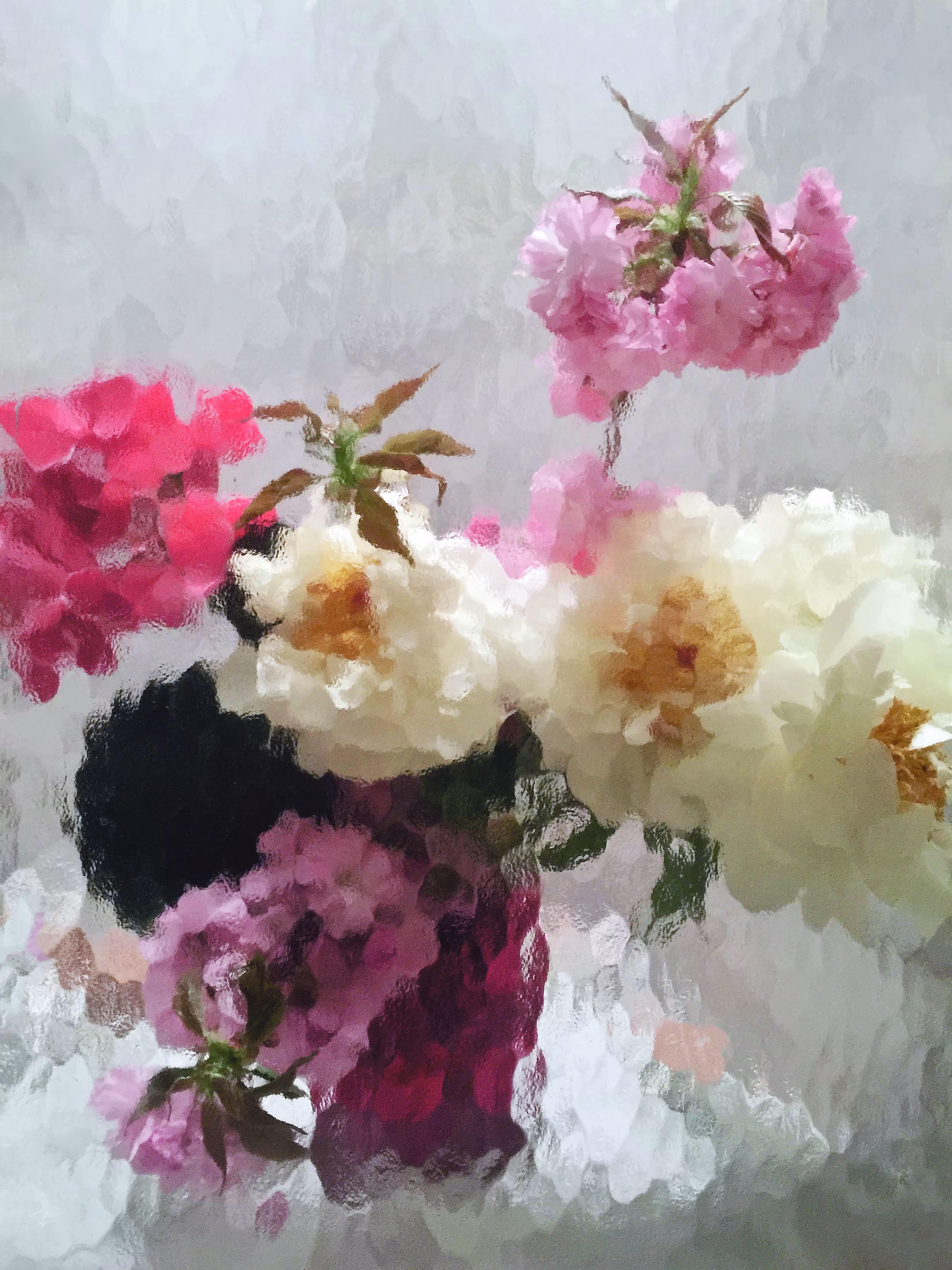 Reflections #16