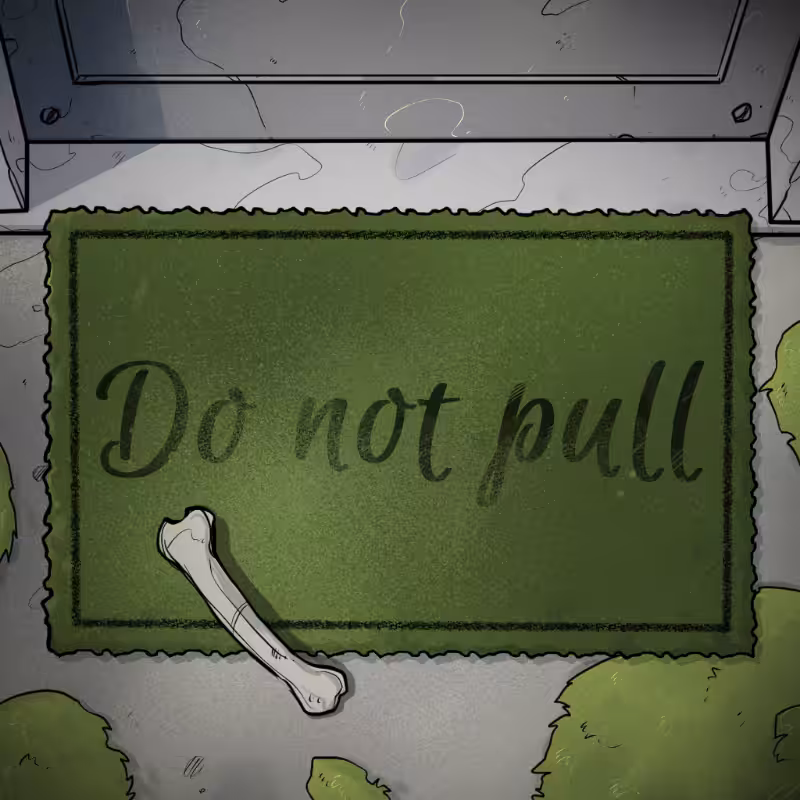 NOT A RUG #363