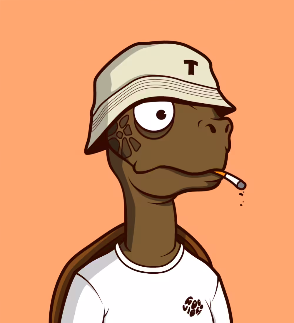 Tiny Turtle 111