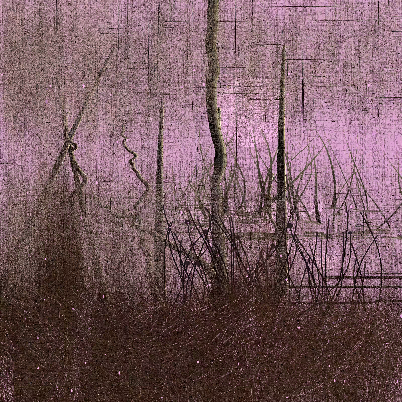 Daydream #48