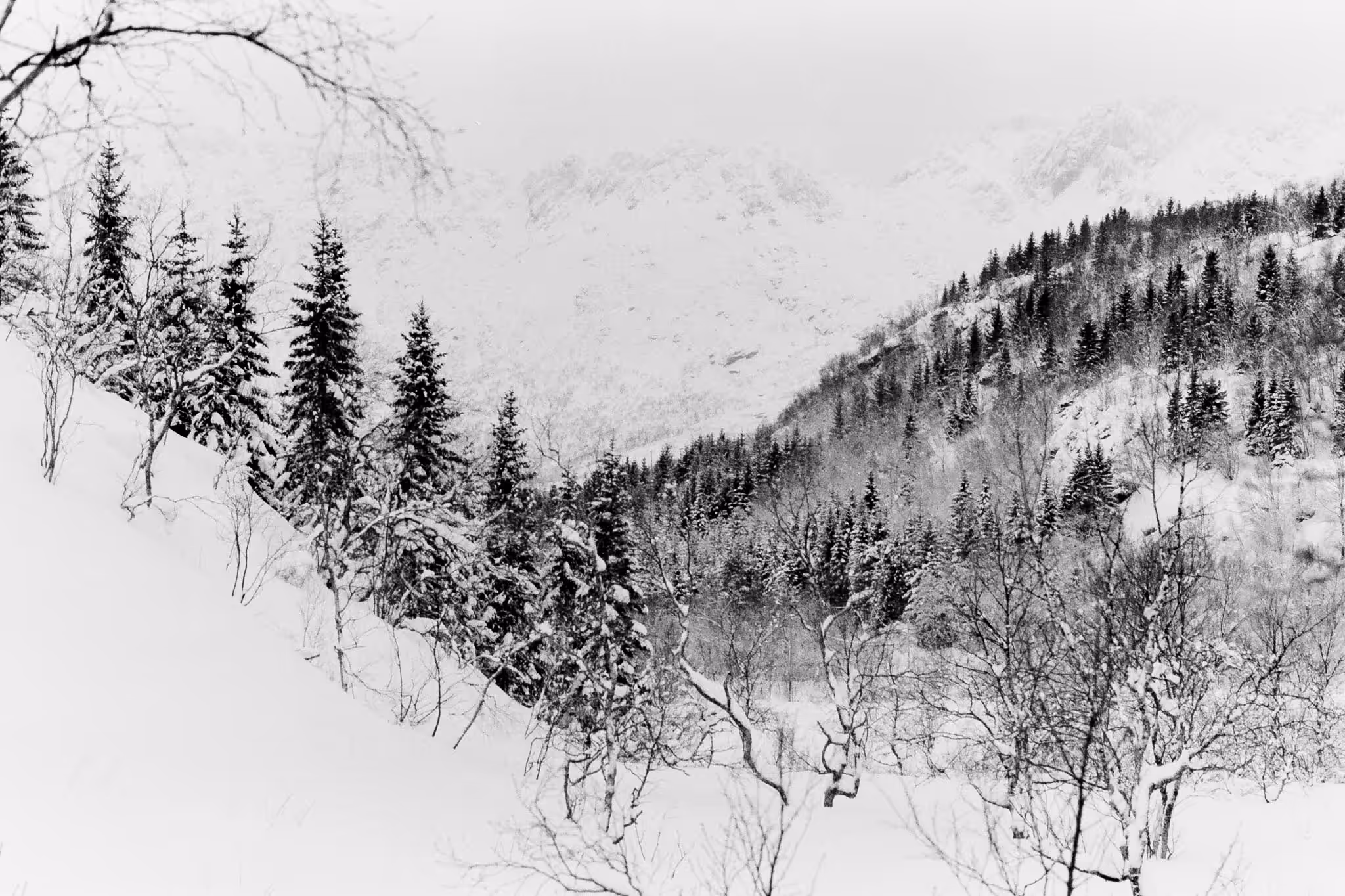 Winter silence