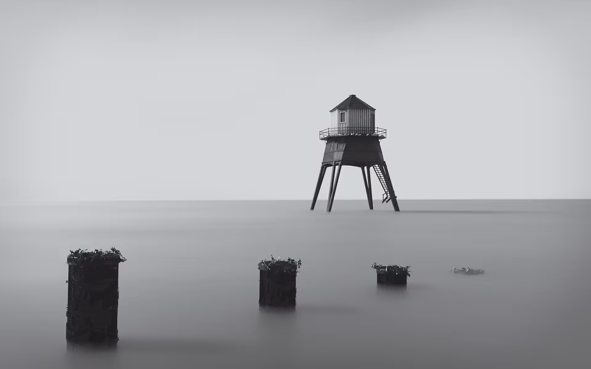 Grey - 10