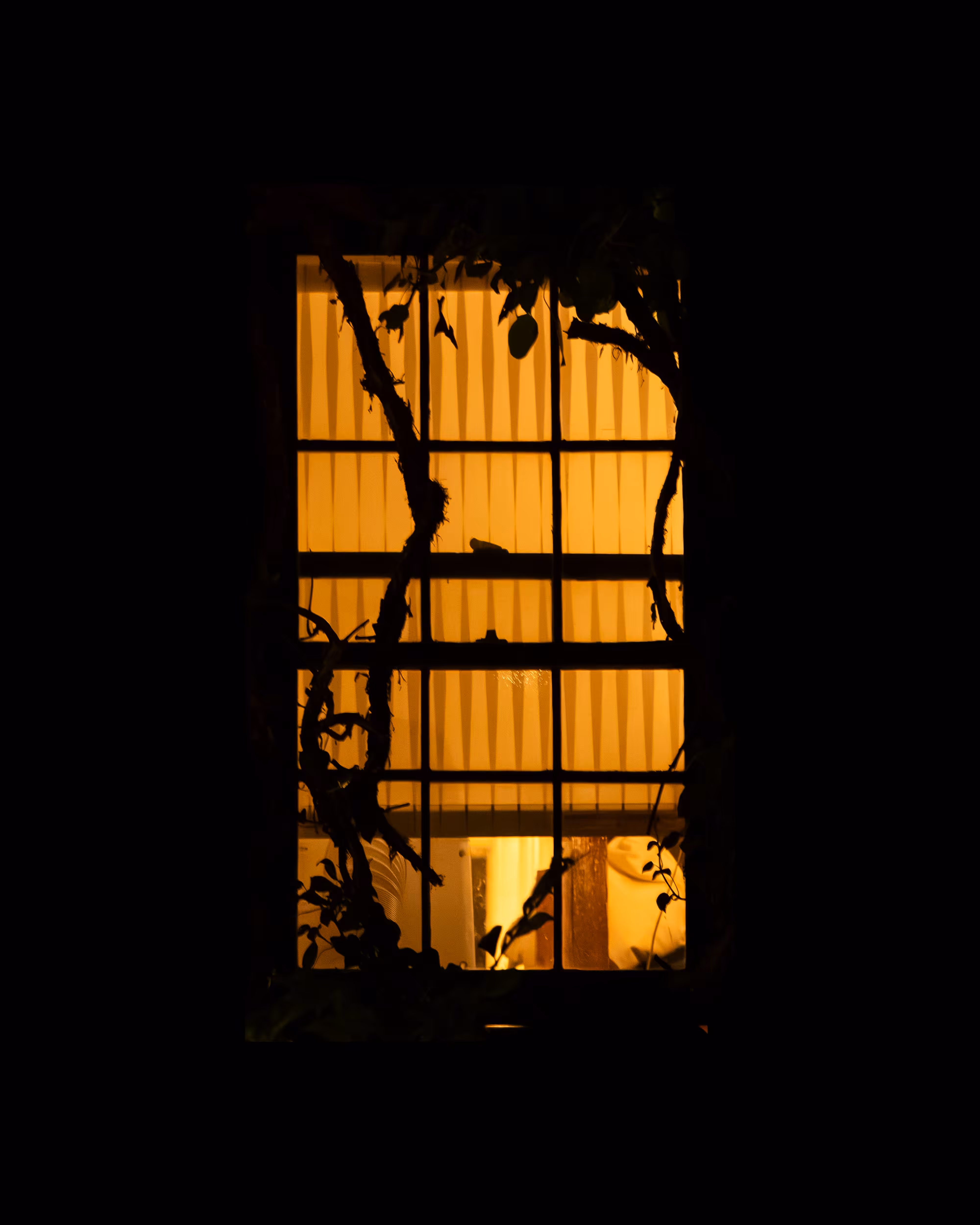 WINDOWS // NYC: WINDOW 977