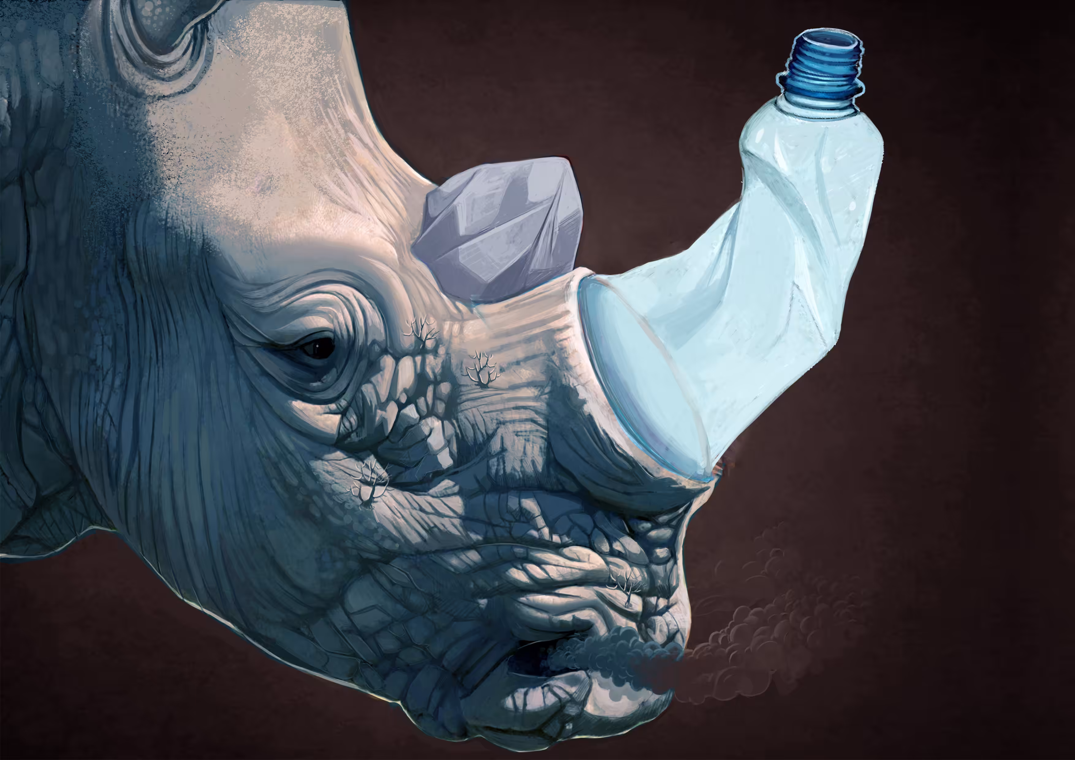 Environment#006