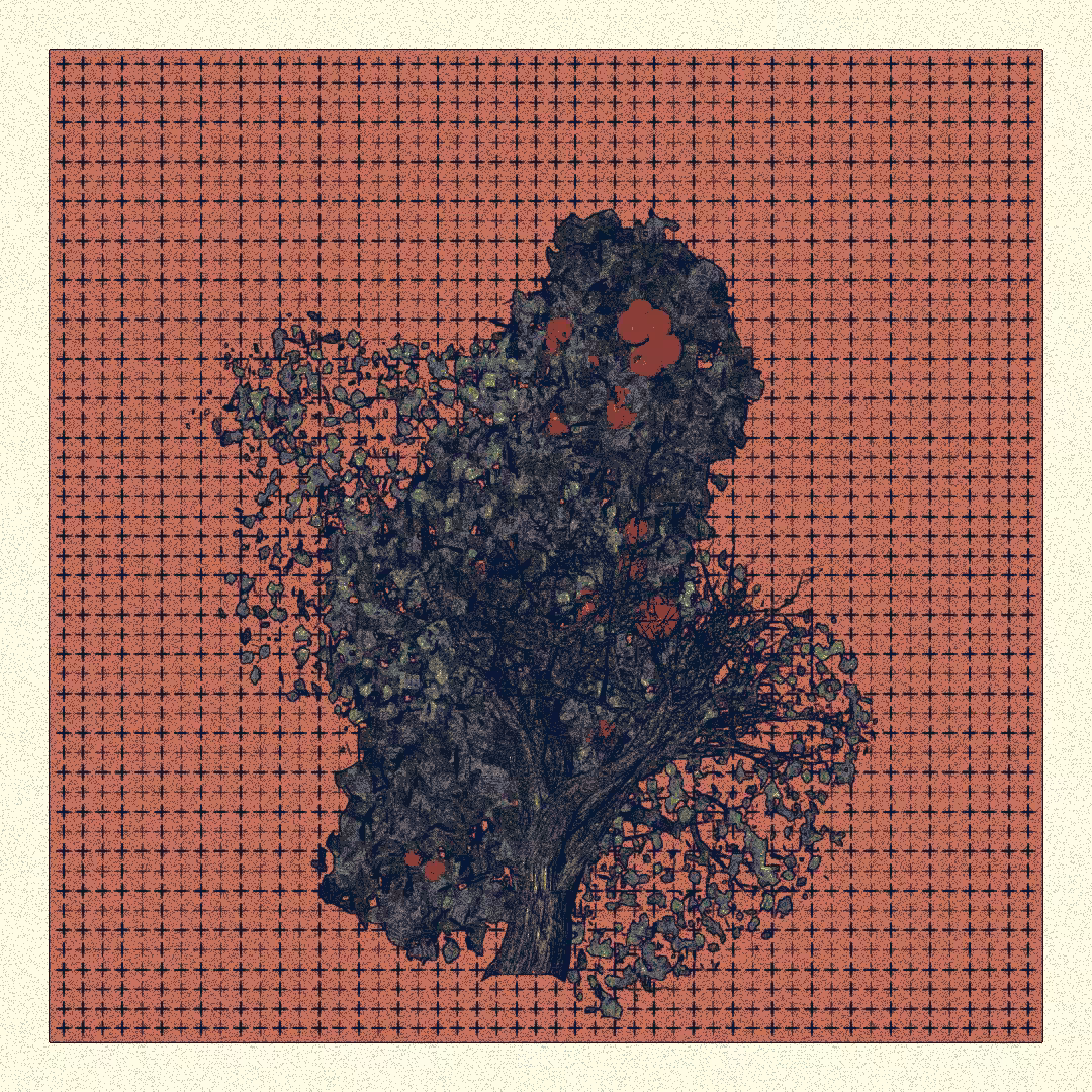 _argania[primaria] #106