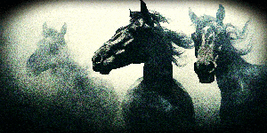thoroughbreds