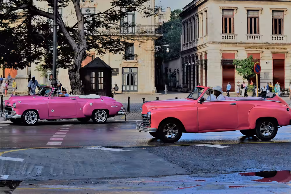 Cuba or Bust