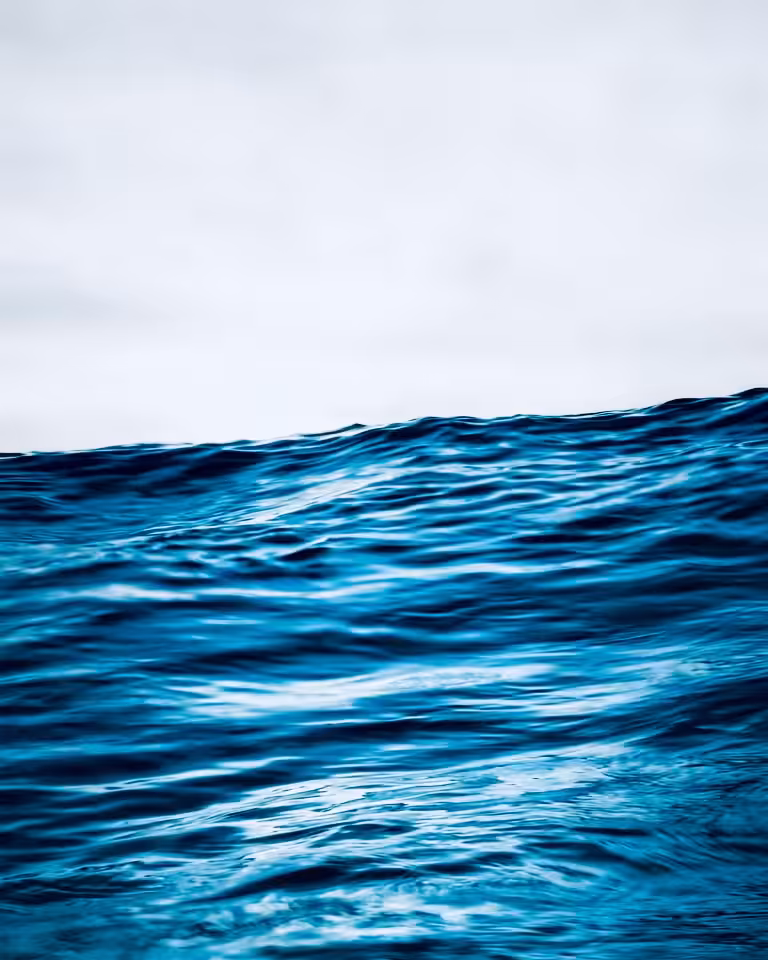 The Deep Blue