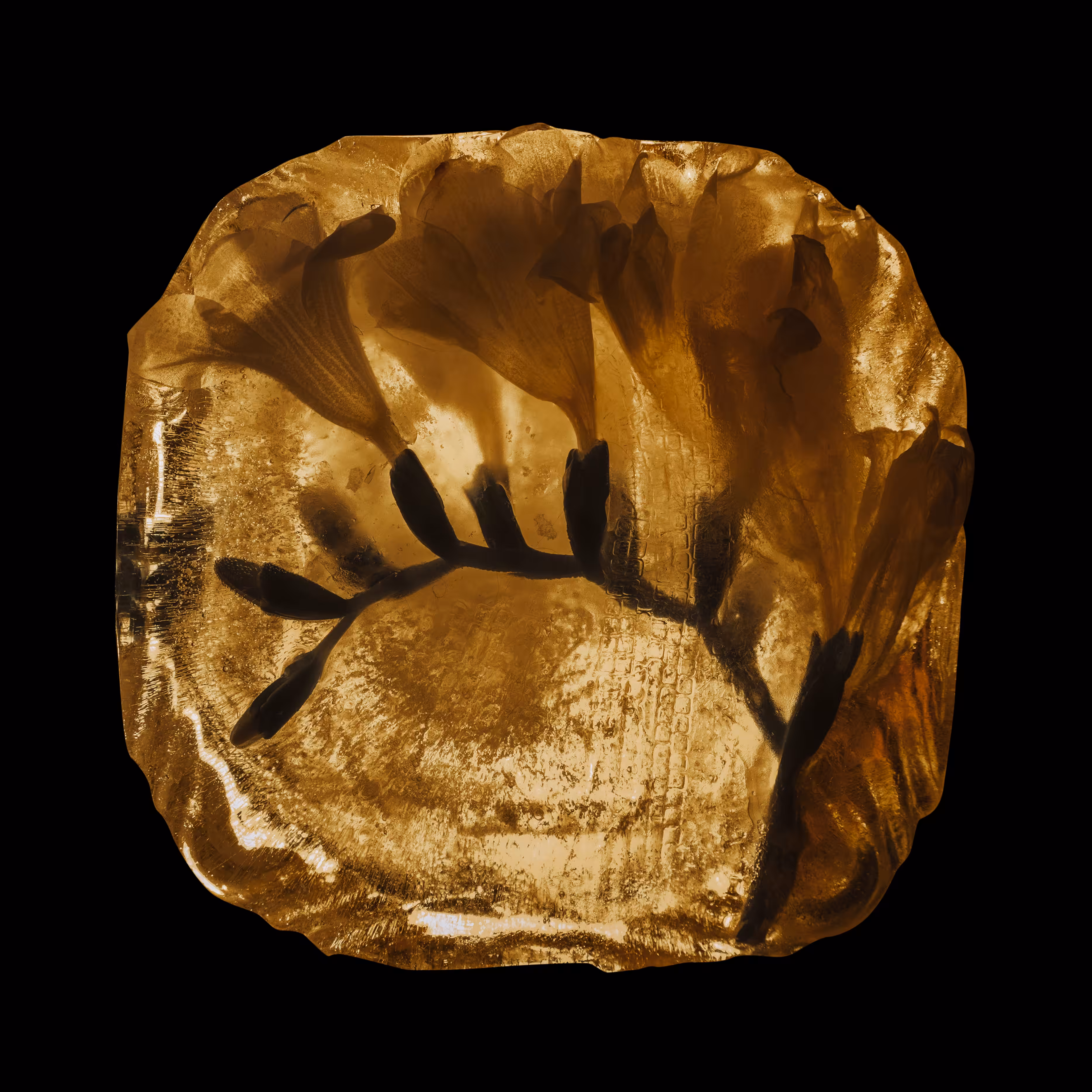 Ice Inclusion
