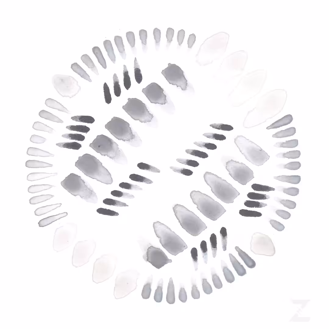 ALLOWING | METAMORPHA COLLECTION