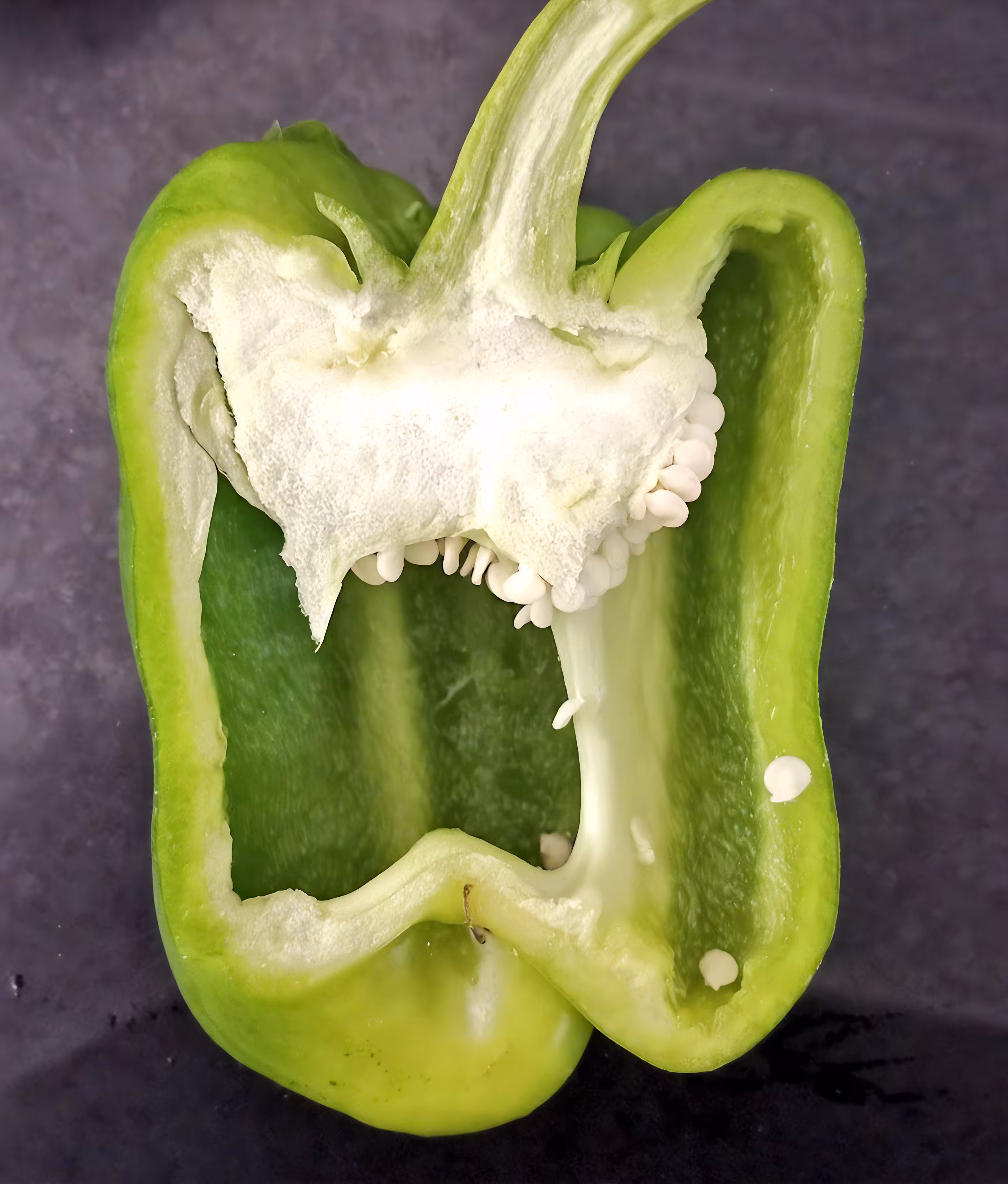 Screaming Pepper