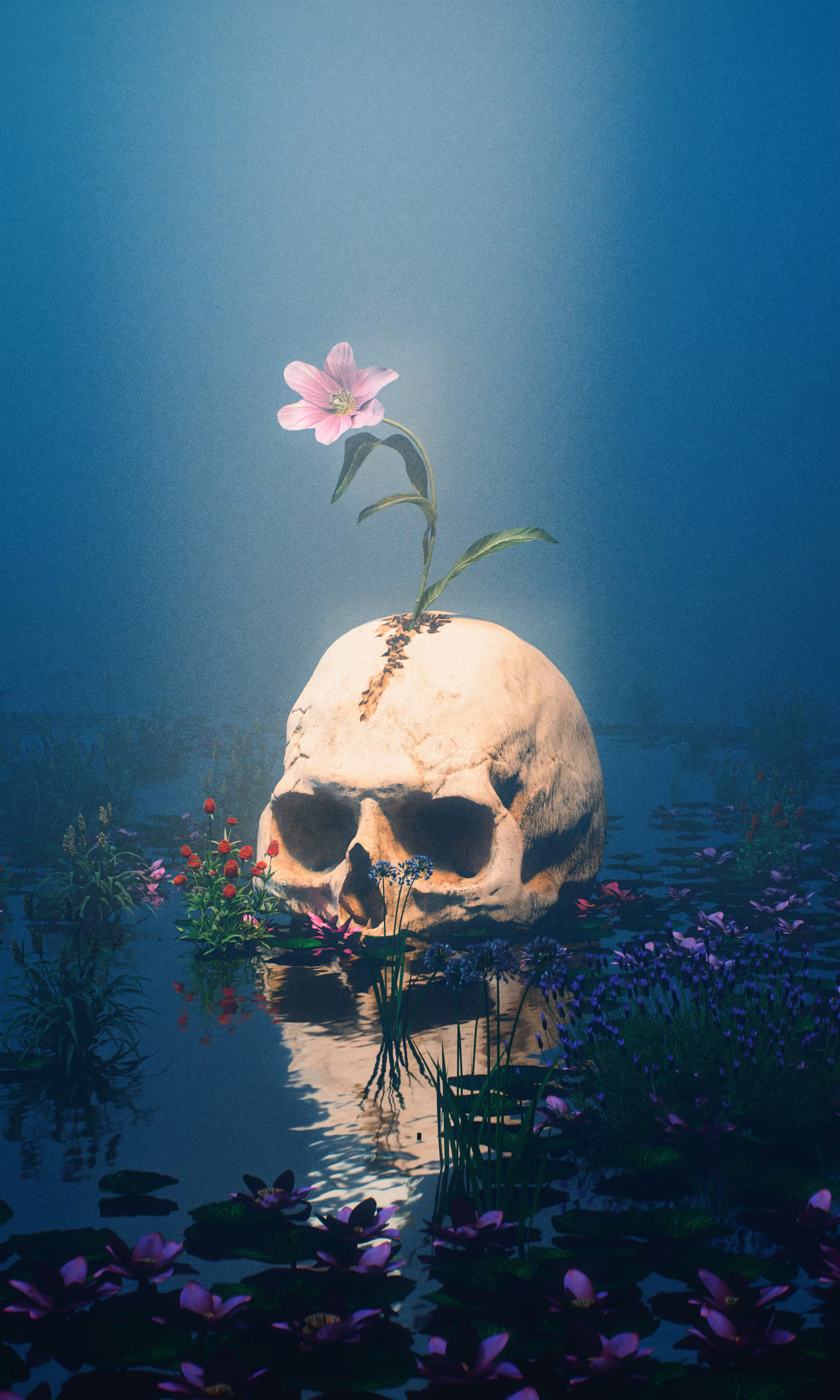 Where Death Rests