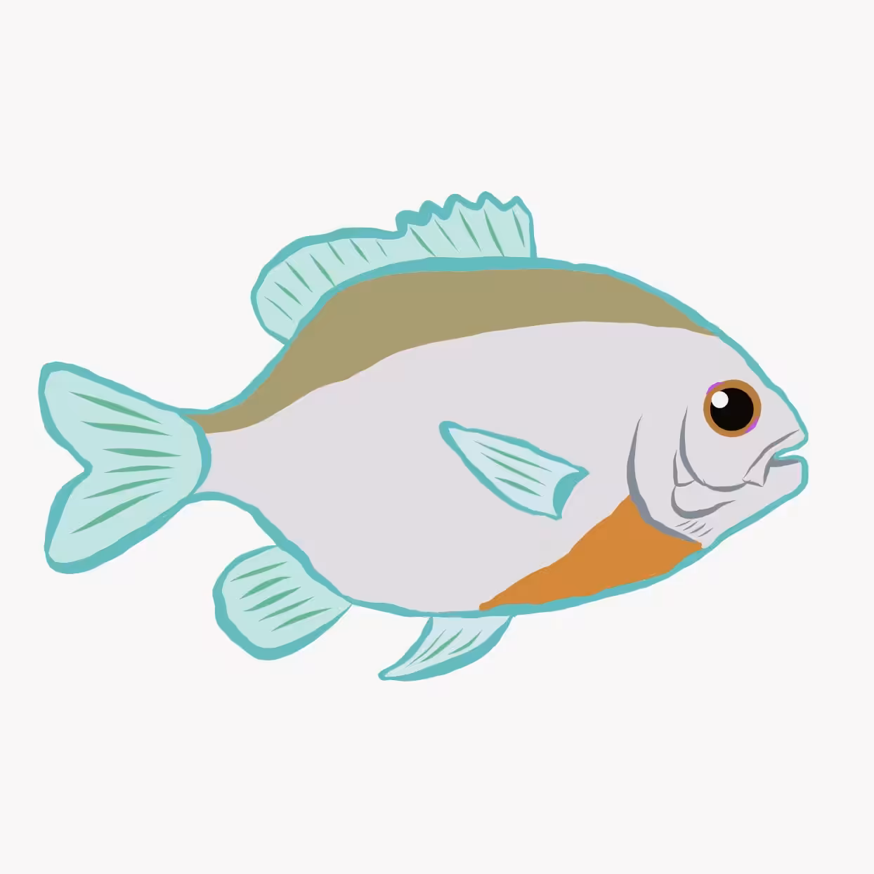 Venus the bluegill