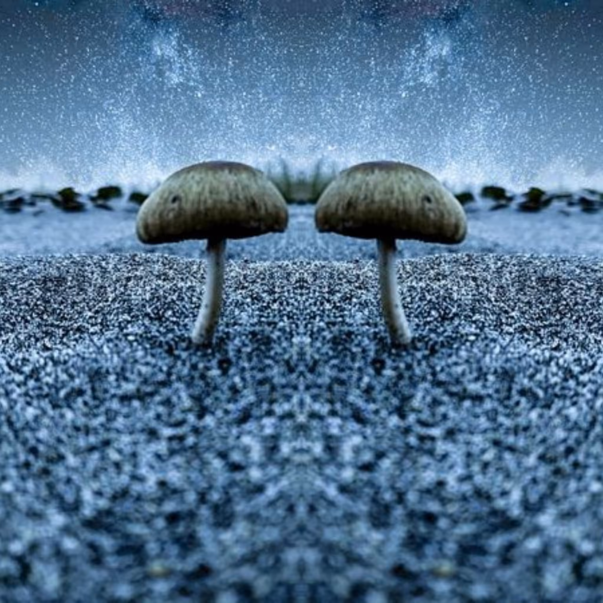 Twin Shroom!