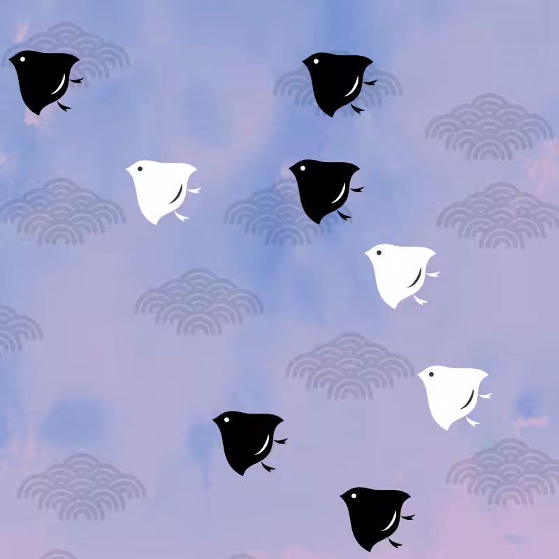 tiori #6