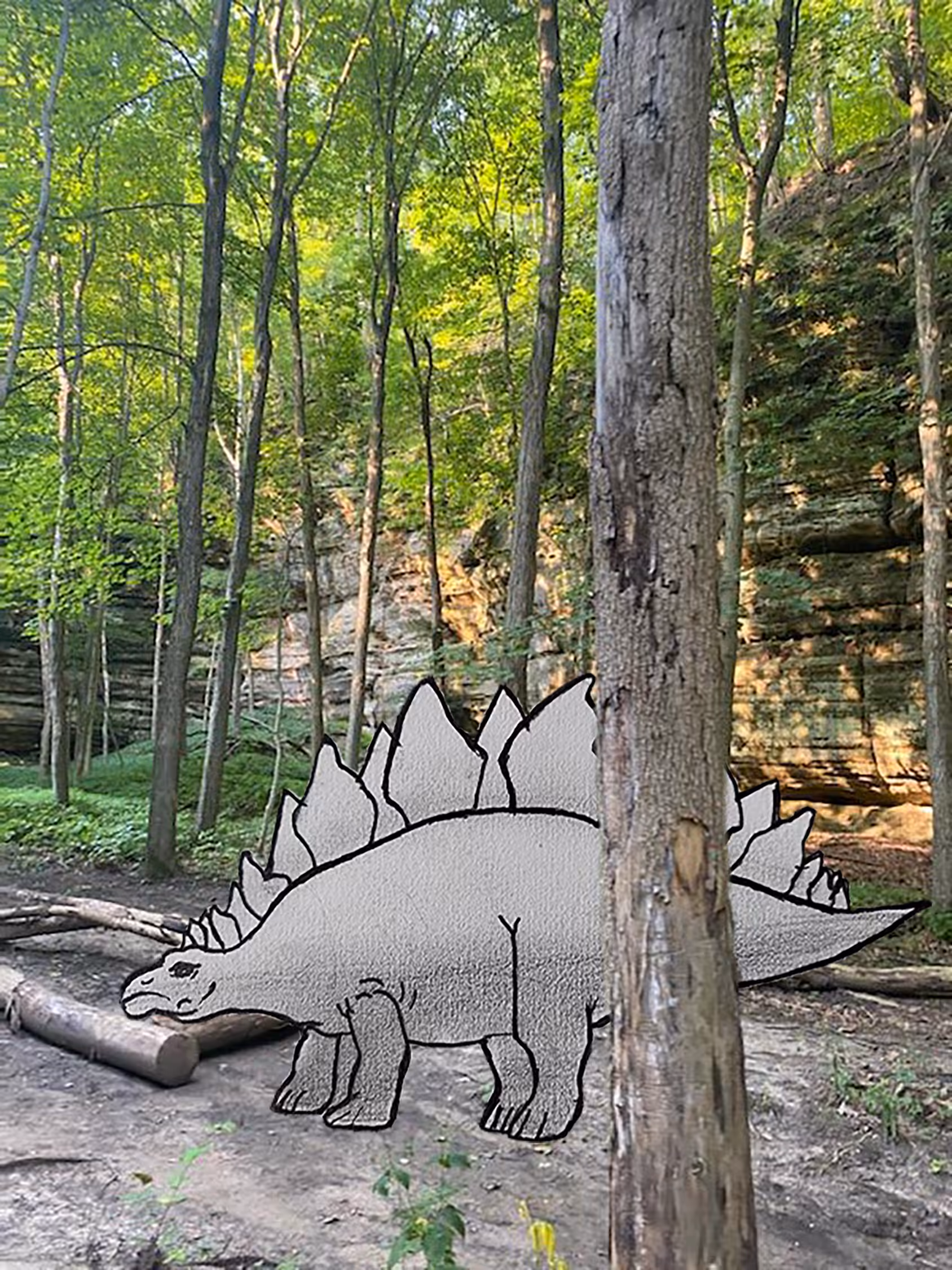 Stegosaurs 