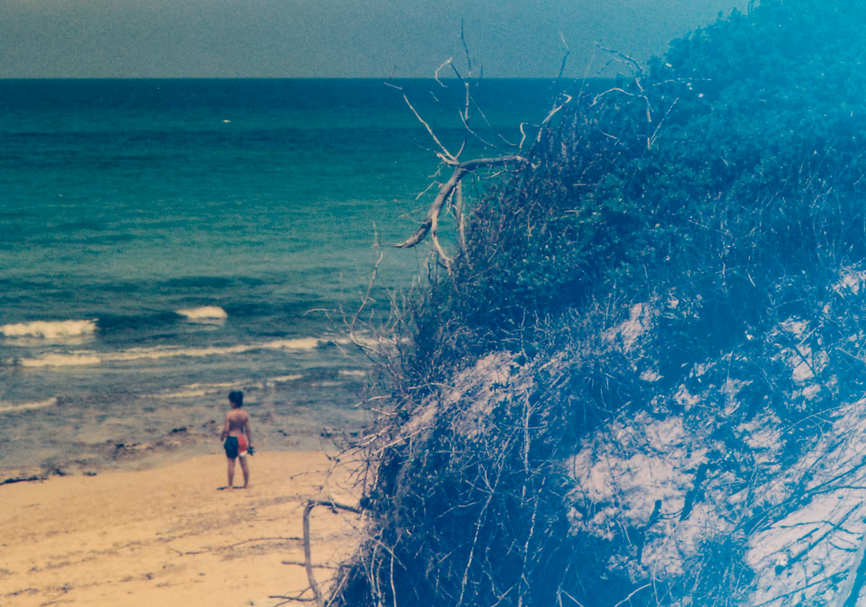  Film Photography Day 2026: All That Blue